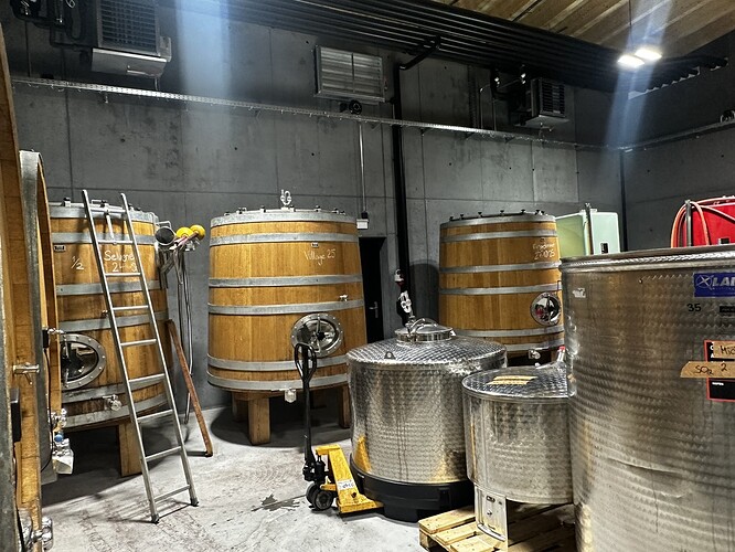 9D6D5B29-3CED-4AB0-9AE2-1045B0453806_1_105_c