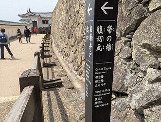 PXL_20250408_020346216