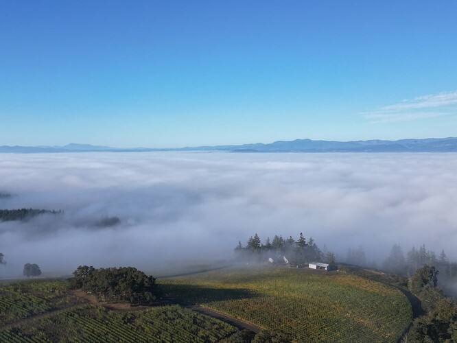 dji_fly_20240825_163130_350_1728231090828_photo