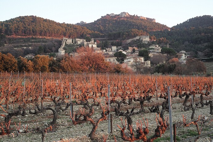 L1007780 - shrunk and cropped