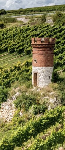 IMG_9732