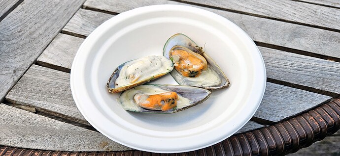 mussels