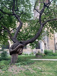 IMG_5096