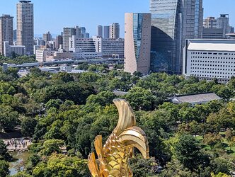 Compress_PXL_20240926_011419706