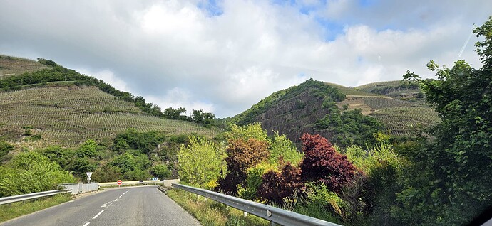05-03_coterotie