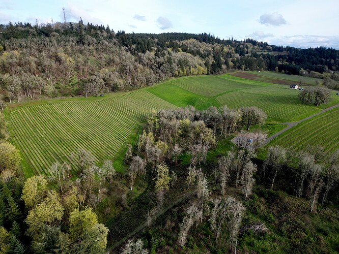 dji_fly_20240213_001332_117_1711550122526_photo