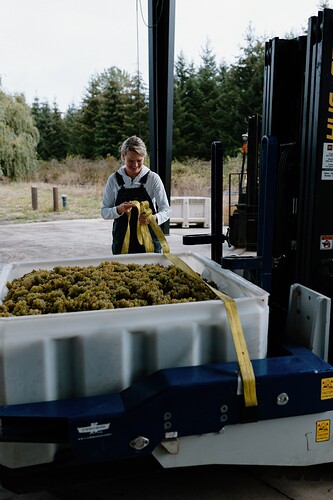 Day Wines Harvest 2024_DCC-9529