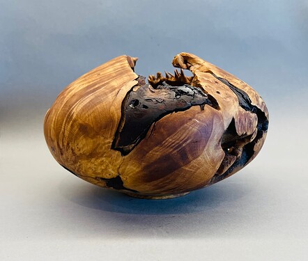 California buckeye burl hollow form