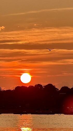 B3B79255-76AB-4D07-B4AC-D14C7DD30D52