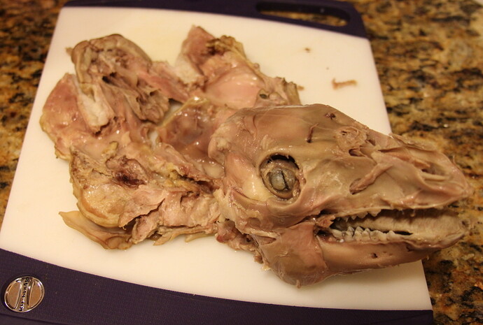 Pig VII