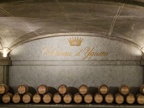 yquem07