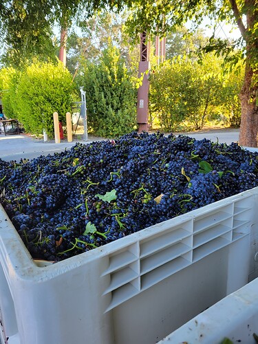 harvest 08.29.23