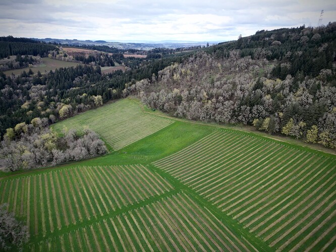 dji_fly_20240213_002152_151_1711550292963_photo