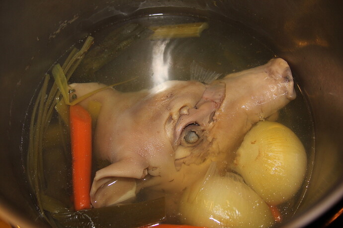 Pig V