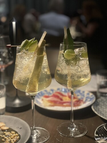 E1DB1D0F-53EE-4975-83A9-EDB53F3529D1_1_105_c