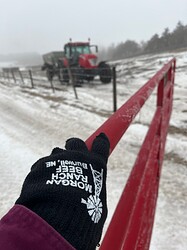 div align=“center”, RanchGloves