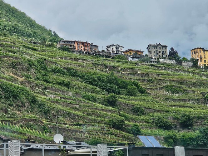 Valtelina