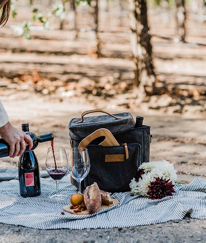 6 bottle tote picnic_lo
