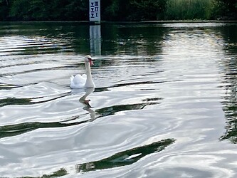 IMG_5143