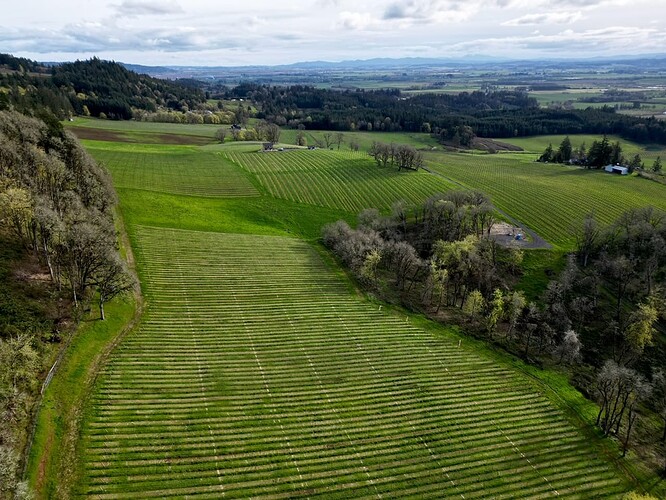 dji_fly_20240213_001038_107_1711550062252_photo