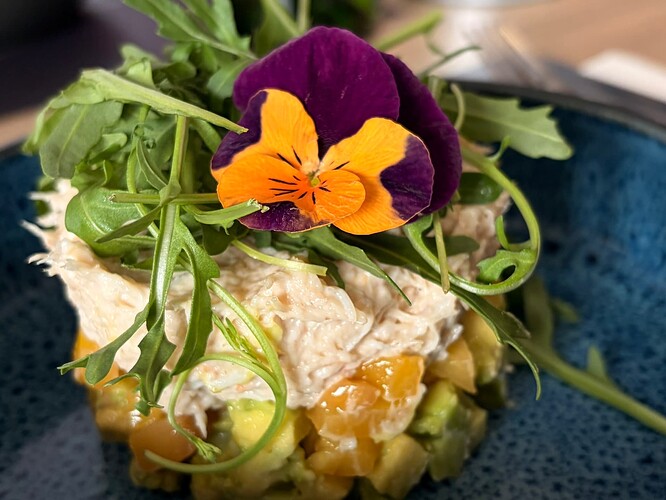 7592D830-BC28-49FE-9129-0729F1294915_1_102_o