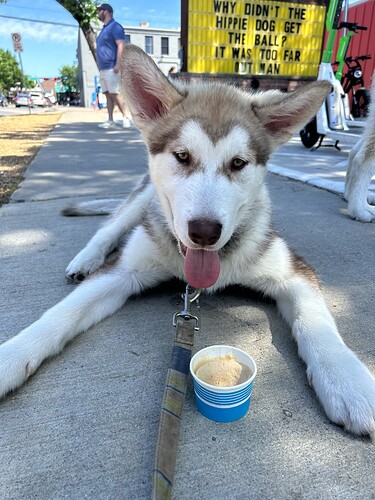 73473212448__DBD7B290-19D2-4802-A384-851E07CD0481