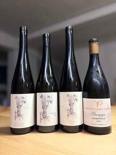 Photo 7-11-25, 9 55 14 PM