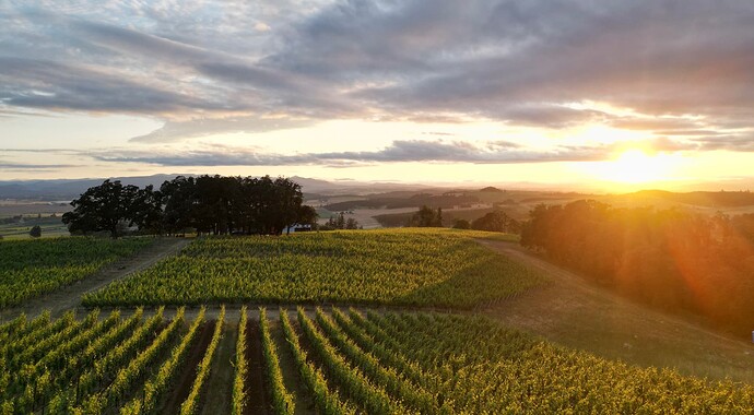 Sunset Over Bracken