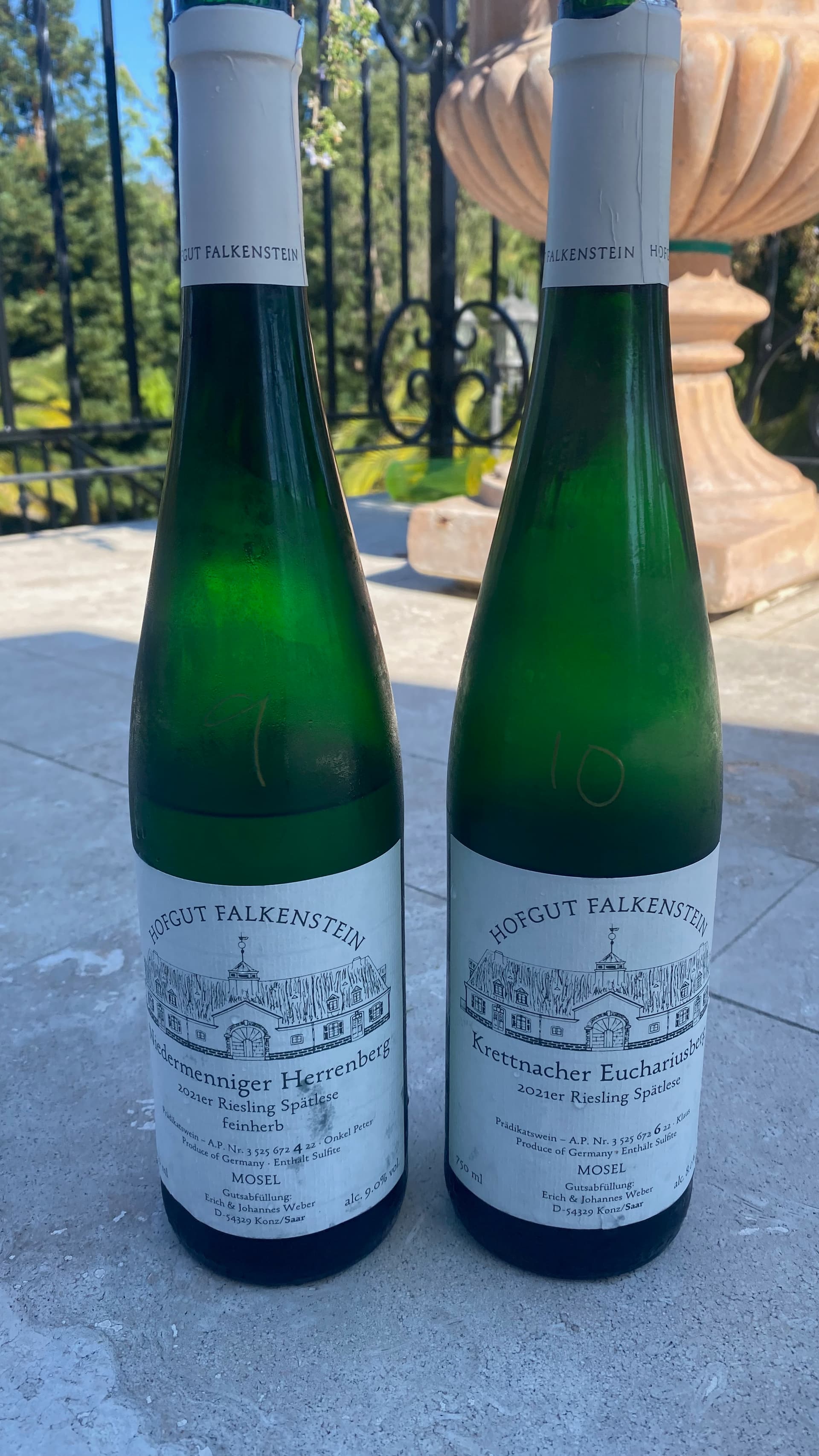 2021 TALK - WINE WineBerserkers Ten Falkensteins -