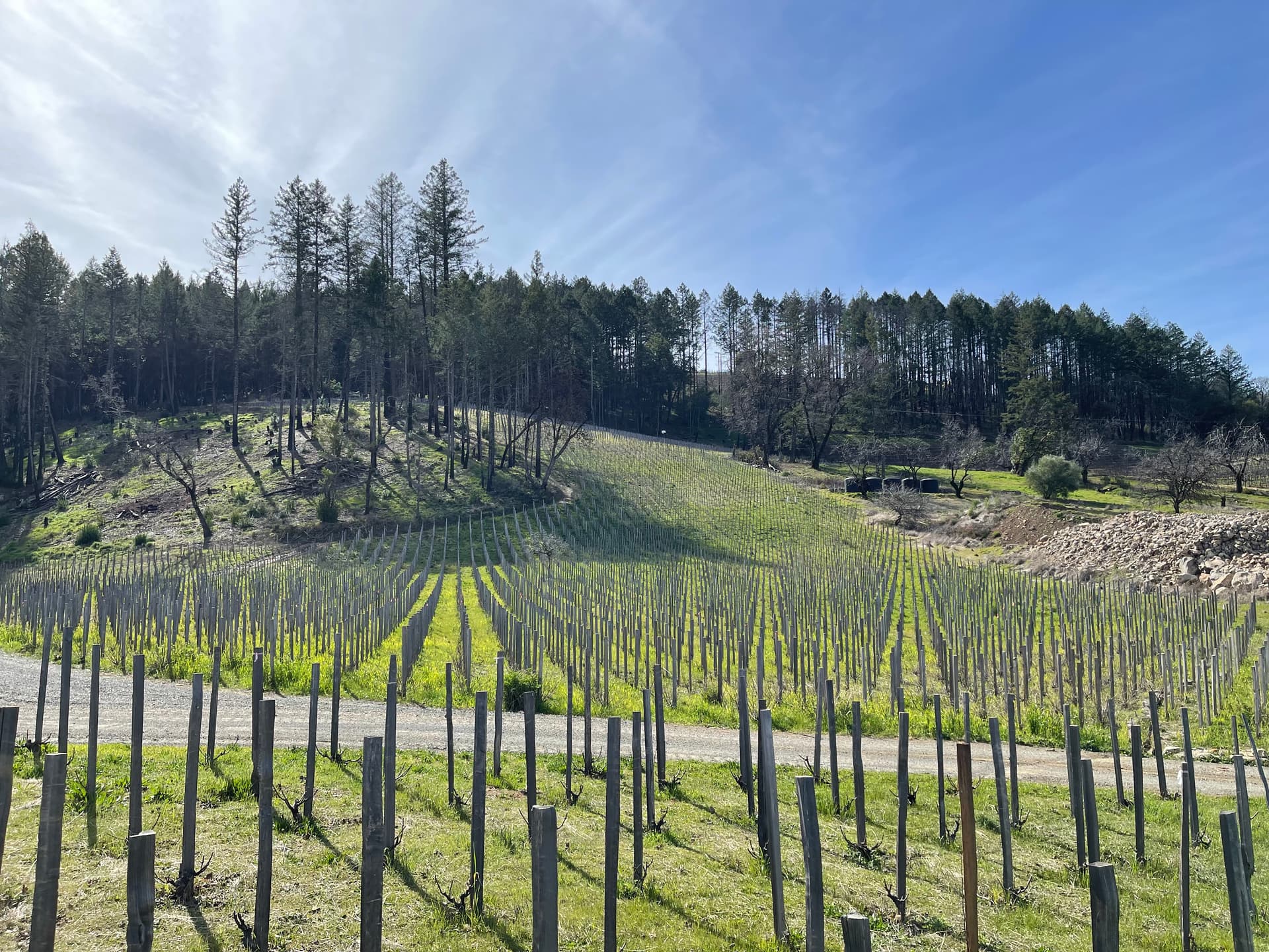 Beta-Jasud Napa visit February 2023` - WINE TALK - WineBerserkers