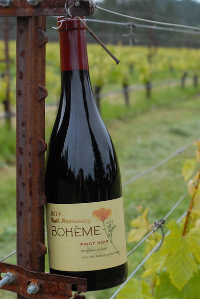 Cerrada ~ Bohème PN, CH & Zin Offer - BerserkerDay IX