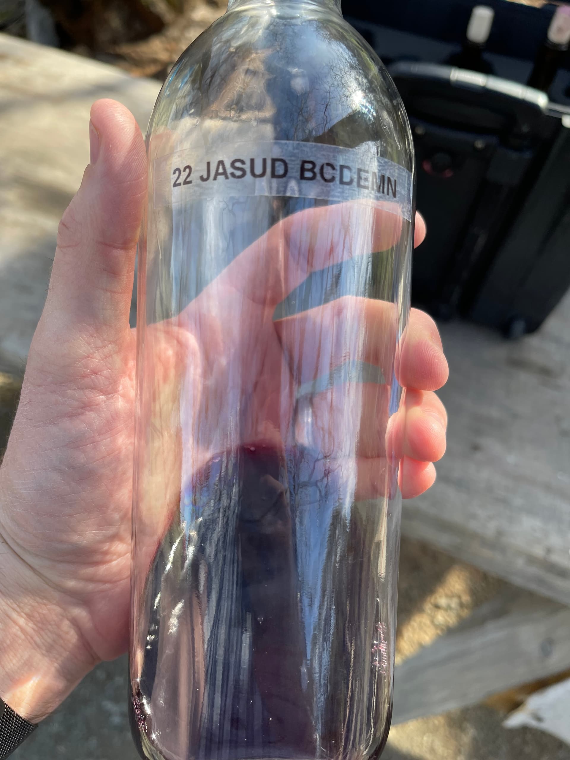 Beta-Jasud Napa visit February 2023 - WINE TALK - WineBerserkers