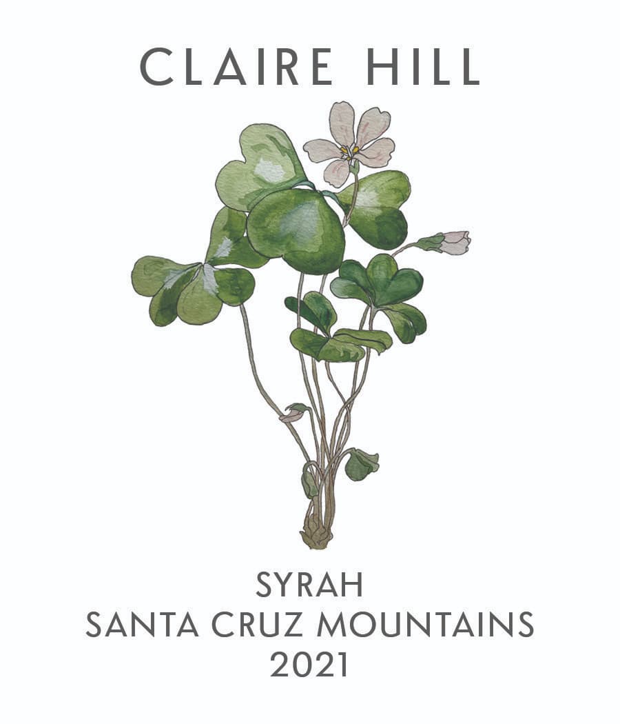 2021 Casa Syrah - sorrel2