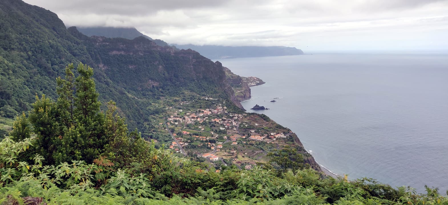 Otto's Madeira travelogue - WINE TALK - WineBerserkers