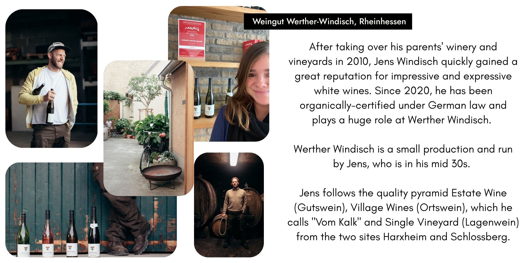 Werther Windisch