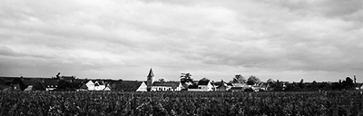 grosvosne1