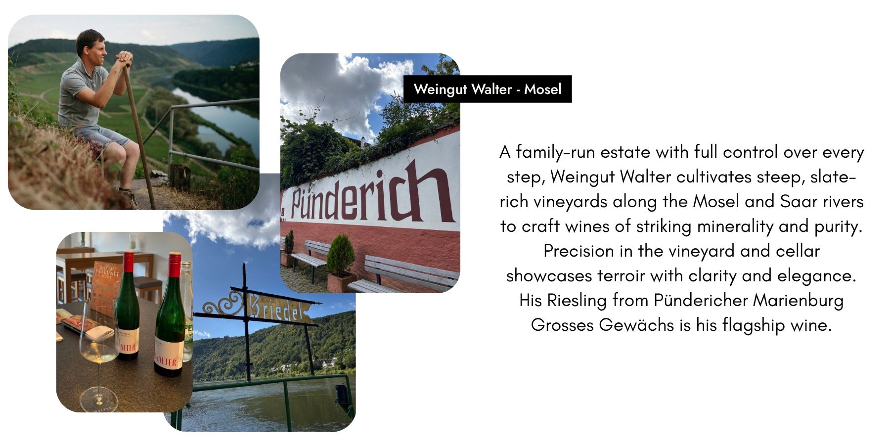 Walter Winery