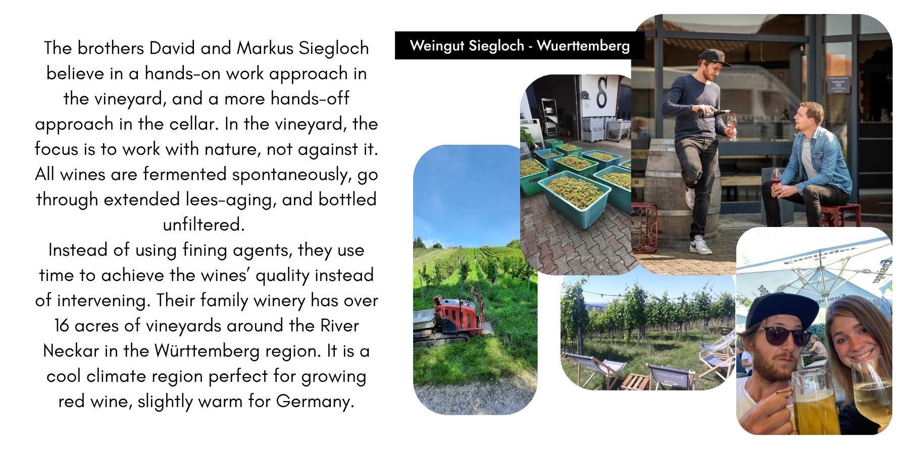 Siegloch