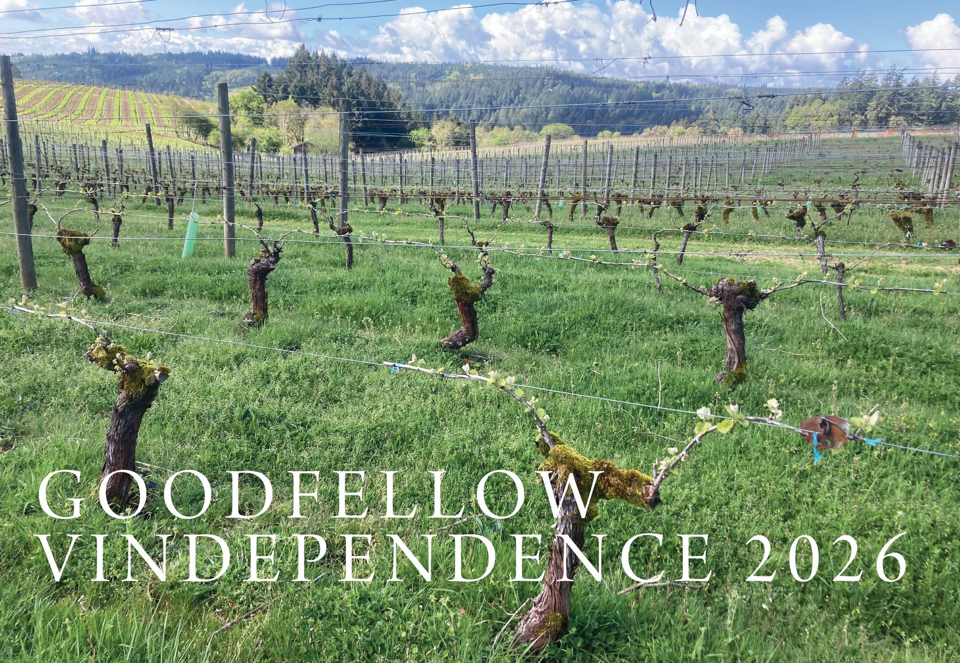 🍾 Goodfellow Family Cellars Vindependence Offers! - VinDependence