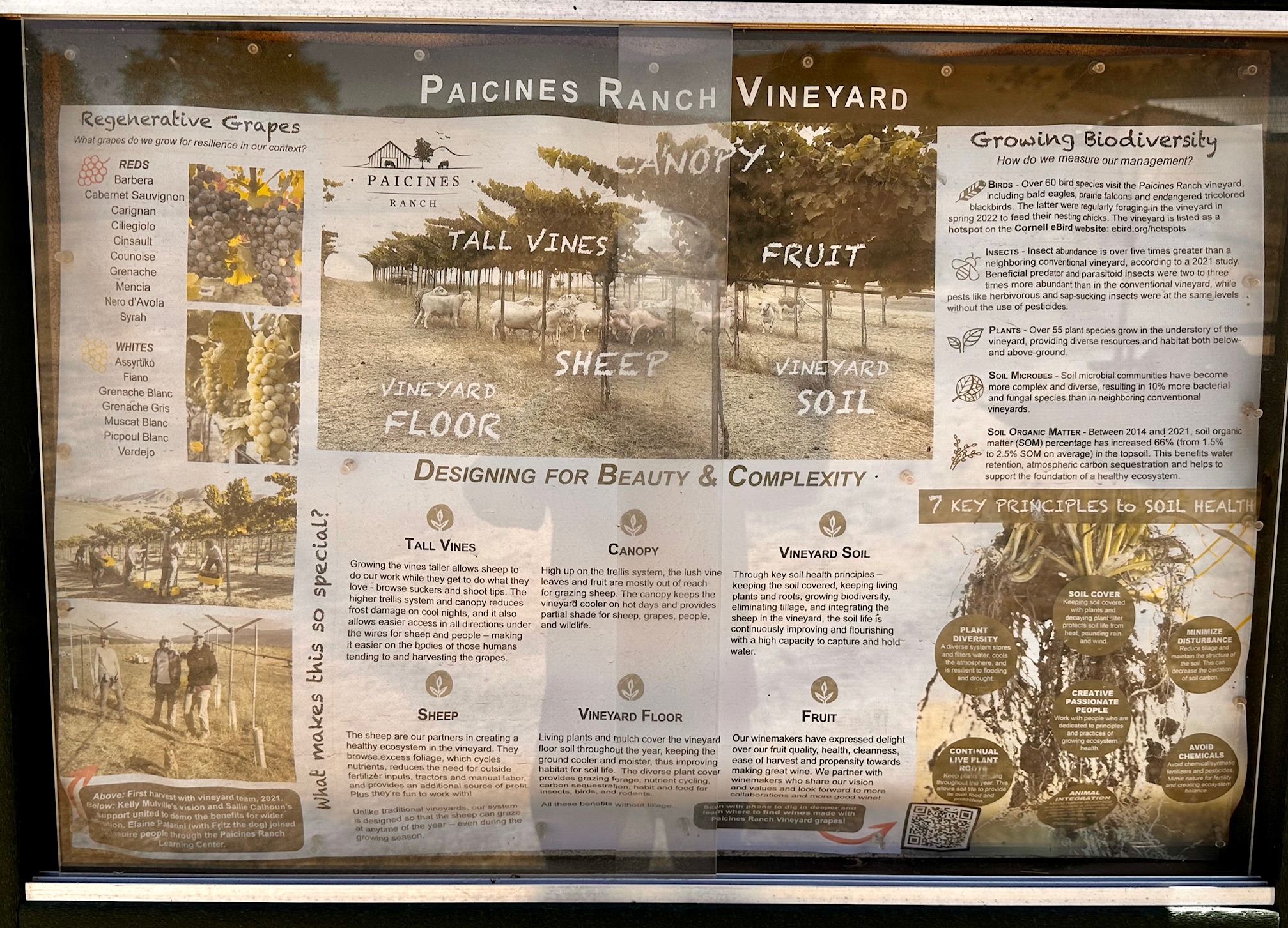 Paicines Ranch San Benito County Vineyards and Wine – Part 2, Paicines Ranch and Stirm ...