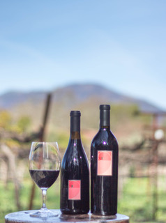 2 bottles mt crop