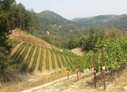 yates mt veeder