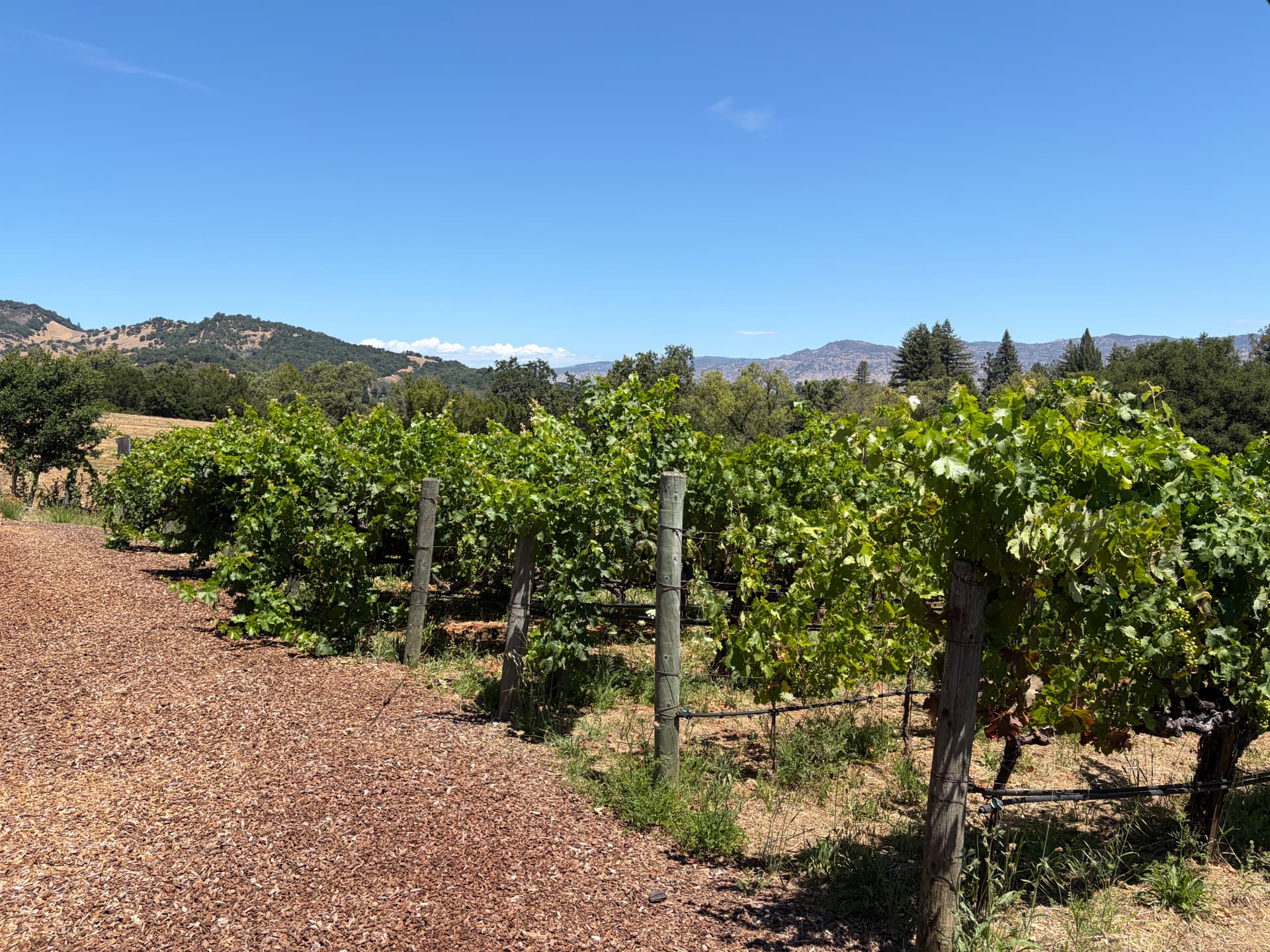 Three Visits in Napa/Sonoma - Matthiasson, Frog's Leap, Kutch