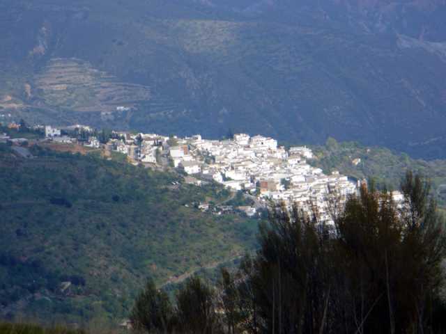 PUEBLO ALPUJARREÑO.jpg
