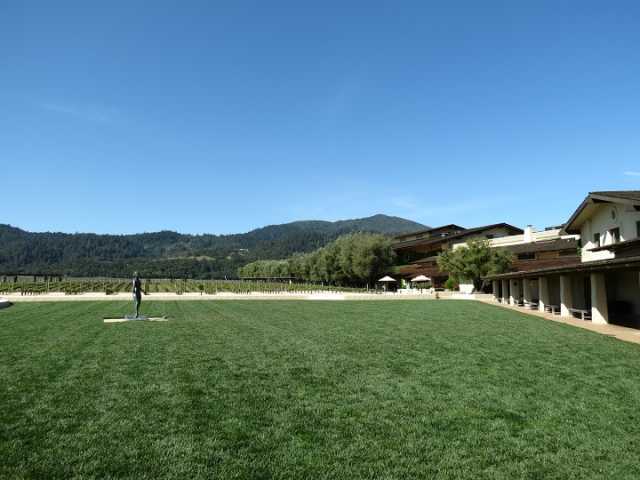 mondavi 019.jpg