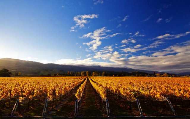 autumn-cromwell.jpg