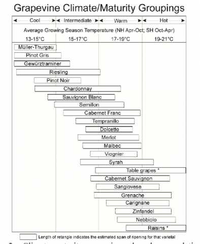 grape chart.jpg
