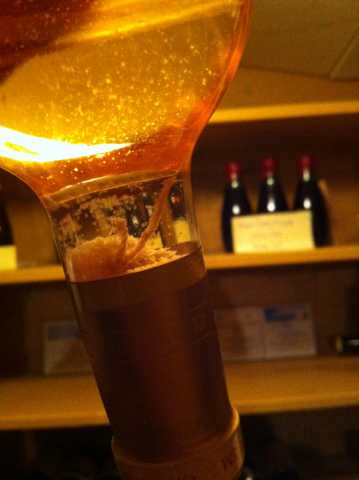 d'Yquem.jpg