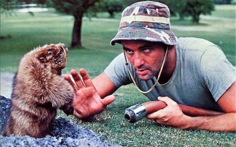 Caddyshack-gopher.jpg