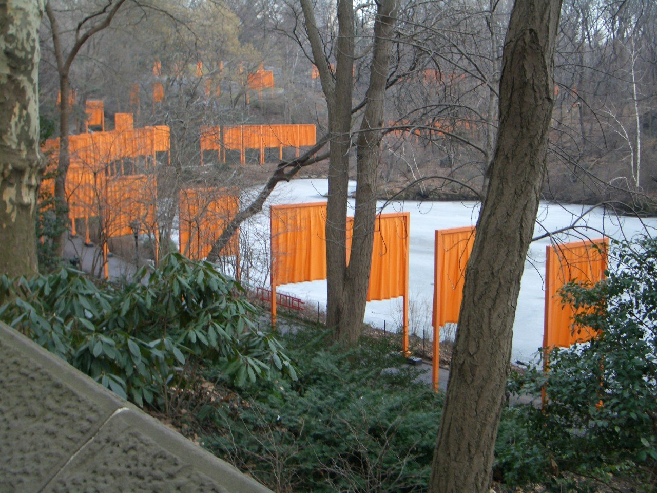 CIMG0211.JPG